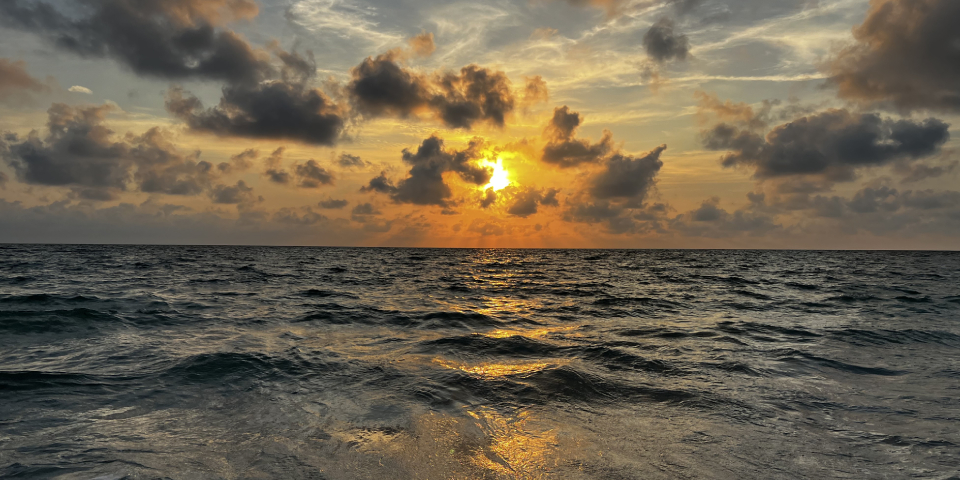 Photo from Clearwater
