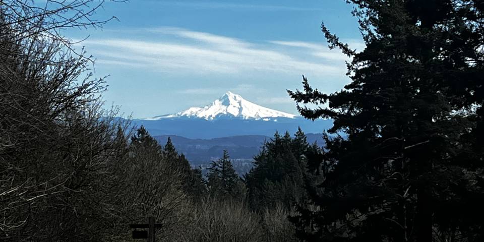 Photo from Portland