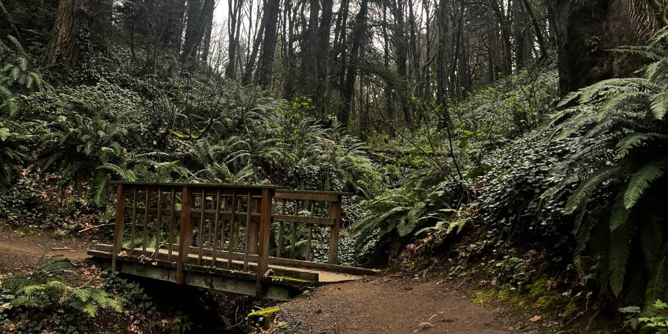 Photo from Portland