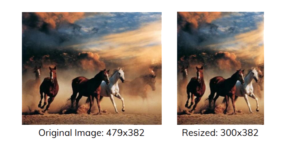 Content-aware image resizing example